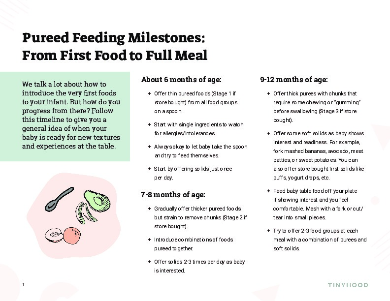 Introducing Solids with Purees: A Guide to Getting Started and Making