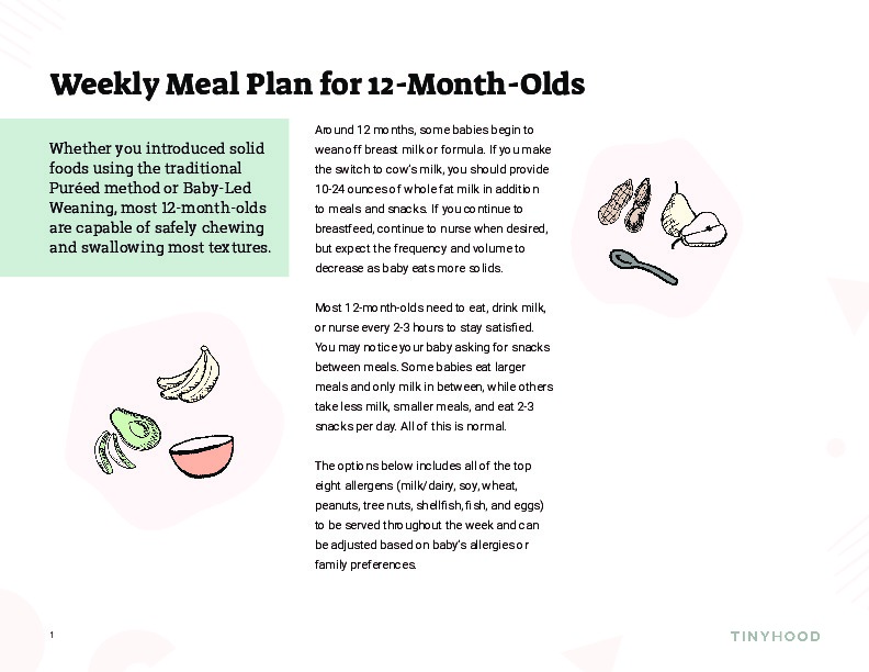 Weekly Meal Plan For 12 Month Old