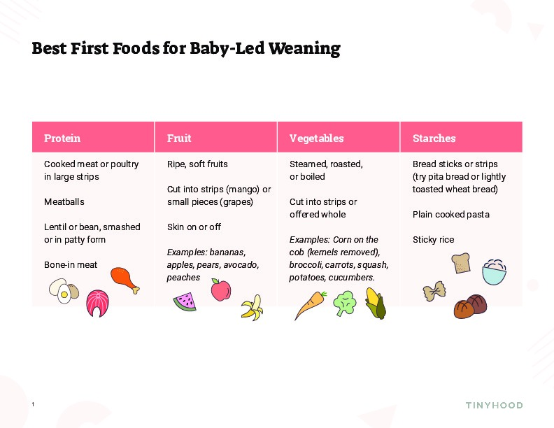 Introducing Solids 101: From Purees to Baby-Led Weaning | Tinyhood